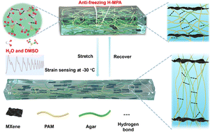 Graphical abstract: Anti-freezing conductive hydrogels with exceptional mechanical properties and stable sensing performance at −30 °C