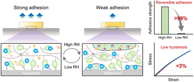 Graphical abstract: Moisture-responsive ultralow-hysteresis polymer ionogels for adhesion-switchable strain sensing