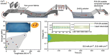 Graphical abstract: Mass production of robust hydrogel electrolytes for high-performance zinc-ion batteries