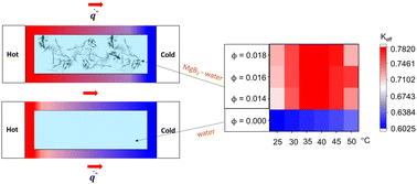 Graphical abstract: Anomalous increase in the thermal conductivity of water on the addition of liquid-exfoliated magnesium diboride sheets