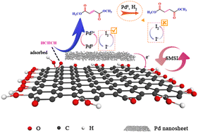 Graphical abstract: Effect of acidic functional groups in a carbon-supported Pd catalyst on efficient acetylene dicarbonylation, followed by hydrogenation to dimethyl succinate