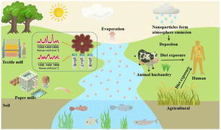 Graphical abstract: Enhancing an in situ-grown Ag/Cu2O/copper foam SERS substrate via an electromagnetic–chemical synergistic mechanism for trace detection of organic dyes