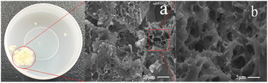 Graphical abstract: Construction of temperature-responsive imprinting cellulose aerogels for separation of neodymium