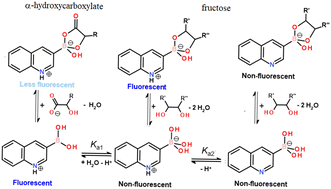 Graphical abstract: Recognition of α-hydroxycarboxylates by N-heterocyclic boronic acids