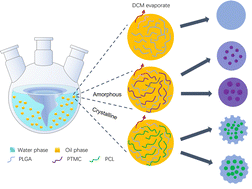Graphical abstract: Regulation of the surface morphology of microspheres by polymers with different crystallinities