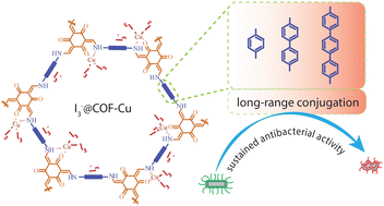 Graphical abstract: A CuCl2-loaded covalent organic framework membrane with a long degree of conjugation for iodine adsorption to achieve sustained antibacterial activity