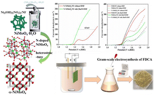 Graphical abstract: Heterostructure engineering of the N-doped NiMoO4 two-phase electrocatalyst for industrial large-scale synthesis of 2,5-furan dicarboxylic acid
