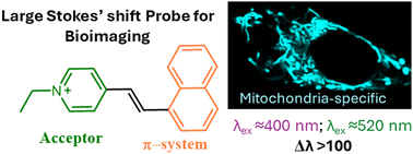 Graphical abstract: A large-Stokes shift styryl pyridinium derivative with a stable green-light emission for imaging mitochondria in live cells