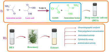 Graphical abstract: Deep eutectic solvent-based extraction of rosemary leaves: optimization using central composite design and evaluation of antioxidant and antimicrobial activities