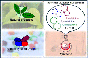 Graphical abstract: Nitrogen-bridgehead compounds: overview, synthesis, and outlook on applications