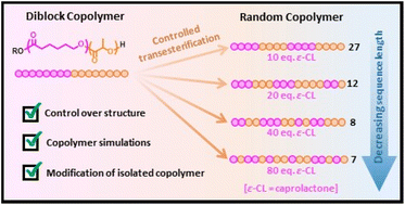 Graphical abstract: Exploiting controlled transesterification as a “top down” approach to tailor poly(ε-caprolactone)-poly(lactic acid) copolymer structures with bis-Zn catalysts