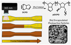 Graphical abstract: Photoinitiated thermoset polymerization through controlled release of metathesis catalysts encapsulated in poly(phthalaldehyde)