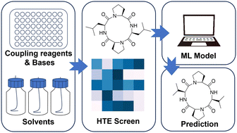 Graphical abstract: Synthesis of challenging cyclic tetrapeptides using machine learning-assisted high-throughput continuous flow technology