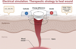 Graphical abstract: Electrical stimulation: a novel therapeutic strategy to heal biological wounds