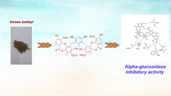 Graphical abstract: Alpha-glucosidase inhibitory compounds from Vietnamese lichen Usnea baileyi: in vitro and in silico aspects