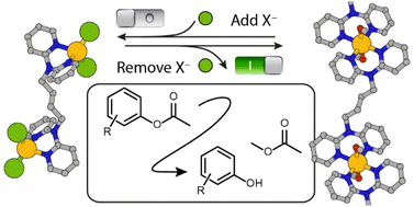 Graphical abstract: Stimuli-responsive Zn(ii) complexes showing the structural conversion and on/off switching of catalytic properties