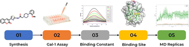 Graphical abstract: Sugar mimics and their probable binding sites: design and synthesis of thiazole linked coumarin-piperazine hybrids as galectin-1 inhibitors