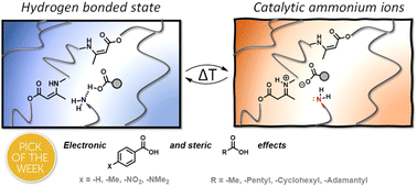 Graphical abstract: Thermoswitchable catalysis to inhibit and promote plastic flow in vitrimers
