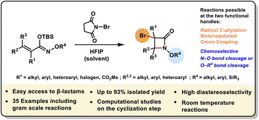 Graphical abstract: Forging structural complexity: diastereoselective synthesis of densely substituted β-lactams with dual functional handles for enhanced core modifications