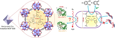 Graphical abstract: Approach of a small protein to the biomimetic bis-(μ-oxo) dicopper active-site installed in MOF-808 pores with restricted access perturbs substrate selectivity of oxidase nanozyme