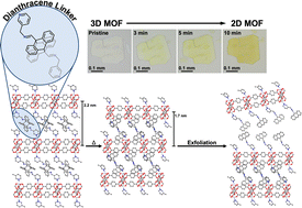 Graphical abstract: Exfoliation of a metal–organic framework enabled by post-synthetic cleavage of a dipyridyl dianthracene ligand