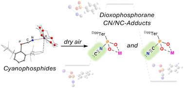 Graphical abstract: Coordination isomerism in dioxophosphorane cyanides