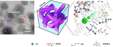 Graphical abstract: Advancing lithium metal batteries with in situ polymerized PMMA-based elastomericelectrolytes
