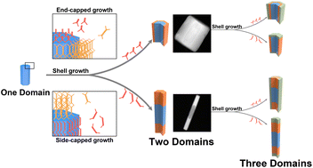 Graphical abstract: Modulator approach for the design and synthesis of anisotropic multi-domain metal–organic frameworks
