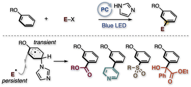 Graphical abstract: Distal C–H functionalization of alkoxyarenes through organic photoredox-catalyzed radical–radical coupling