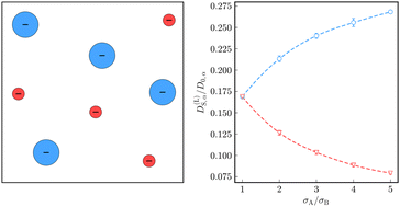 Graphical abstract: Coupled dynamics in binary mixtures of model colloidal Yukawa systems