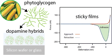 Graphical abstract: Hybrid phytoglycogen-dopamine nanoparticles as biodegradable underwater adhesives