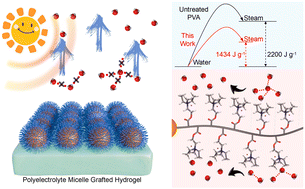 Graphical abstract: Hydrogen-bond disruption in molecularly engineered Janus evaporators for enhanced solar desalination