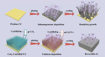 Graphical abstract: Co/Li2S of chemical confinement decorated electrochemically stable Co(OH)F nanoarrays enabling dendrite-free flexible 3D Li anodes