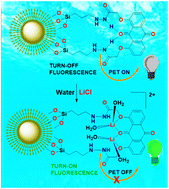 Graphical abstract: A regenerative dual-functional platform combining dendritic silica and anthraquinone amide: advancing seawater lithium detection and recovery with biosensing capabilities