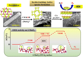 Graphical abstract: Tracking the active phase and reaction pathway of the OER mediated by an MnMoO4 microrod electro(pre)-catalyst