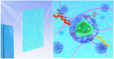 Graphical abstract: Hollow flower-like TiO2@CsxWO3 hybrid for effective thermal management using a UV/NIR light absorbing shield strategy
