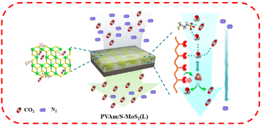 Graphical abstract: Enhancing CO2-facilitated transport in PVAm membranes through the synergistic effect of porous molybdenum disulfide and mobilizable sulfonic groups