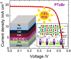 Graphical abstract: Phenothiazine-based self-assembled monolayers for efficient tin perovskite solar cells with Co-cations