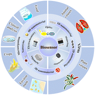 Graphical abstract: Nanomaterials revolutionize biosensing: 0D–3D designs for ultrasensitive detection of microorganisms and viruses