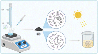 Graphical abstract: Green solution synthesis of Bi19S27I3 nanostructures – engineering their morphology through polyethylene glycol and their use in the photocatalytic reduction of Cr(vi)