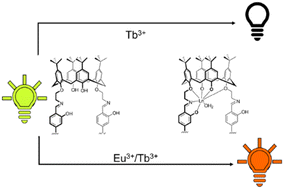 Graphical abstract: Luminescent lanthanide complexes supported by ditopic Schiff-base/calix[4]arene macrocycles: synthesis, structure, and luminescence properties of [Ln2(H2L2)(H2O)2] (Ln = La, Eu, Tb, Yb)