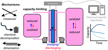 Graphical abstract: Influence of crossover on capacity fade of symmetric redox flow cells