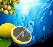 Graphical abstract: Ag–NiP deposited green carbon channel embedded NiP panels for sustainable water splitting