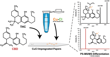Graphical abstract: Computational and design of experiment strategies to improve differentiation and quantitation of trace-level cannabinoids by copper cationization paper spray mass spectrometry