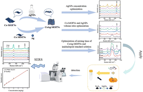 Graphical abstract: Ultra-thin CoAg-MOFNs for SERS for the rapid analysis of imidacloprid pesticide residues in citrus