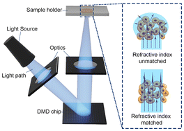 Graphical abstract: Iohexol as a refractive index tuning agent for bioinks in high cell density bioprinting