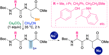 Graphical abstract: Direct and chemoselective transformation of cysteine to dehydroalanine on peptides