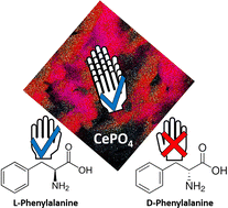 Graphical abstract: Inherent enantioselective adsorption and photocatalytic removal of l-phenylalanine on cerium phosphate films