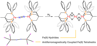 Graphical abstract: Historical account of dinitrogen-bridged diiron complex synthesis using a commercial tripodal ligand
