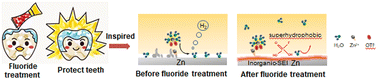 Graphical abstract: Biomimetic fluoride-coated zinc anodes: pediatric dentistry inspires stable zinc batteries